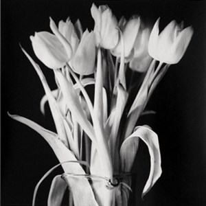 Image description is not available for 2010.080